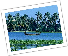 Paradise in Kerala