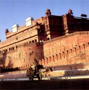 jaipur fort