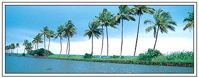 Kerala Backwater