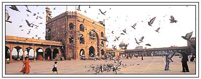 Jami Masjid Delhi India