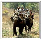 Elephant Riding in Kanha