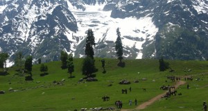Valleys of the Gods:Kashmir, Ladakh and Kulu